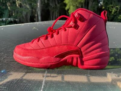 Aj12 Gym red 12s